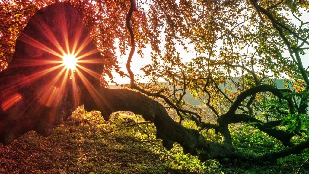 Landesgartenschau Bad Nenndorf